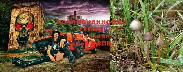 PSILOCYBIN Алексеевка
