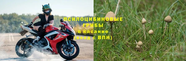 каннабис Алзамай