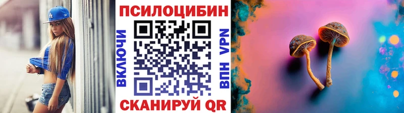 darknet телеграм  купить закладку  Новоуральск  Галлюциногенные грибы Cubensis  hydra рабочий сайт 